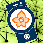 Flora Incognita - automated plant identification