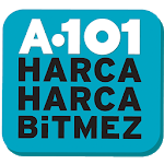 A101