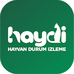 HAYDİ
